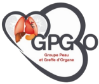 logo GPGO