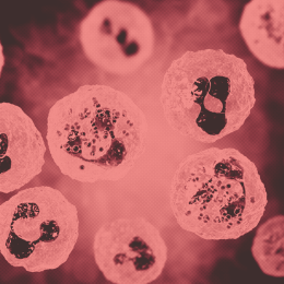 Couverture-supplement-IIM